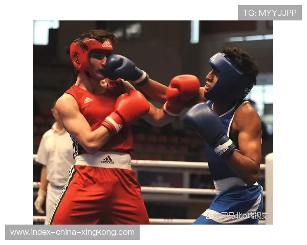 UFC重拳打断护栏：激烈对决背后的故事与启示