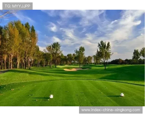 哥斯达黎加俱乐部拟参与国际青训联盟提升交流频率 哥斯达黎加俱乐部拟参与国际青训联盟提升交流频率